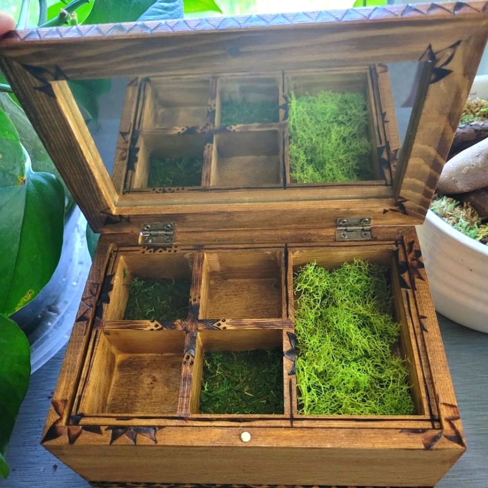 Unique Wooden Jewelry Box with live moss, Walnut Brown, Mirror, Fairycore